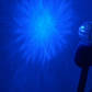 AACC-SAWB : Starlight Series Dual Colour Range - Clear Lens / White & Blue LED