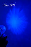 AACC-SARB : Starlight Series Dual Colour Range - Clear Lens / Red & Blue LED