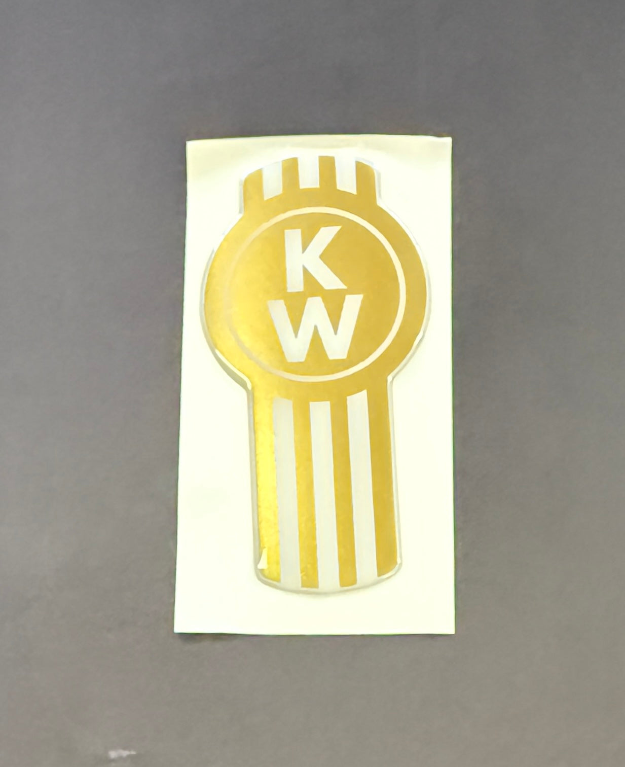 AACC - Kenworth Skin - Gold / White Metallic