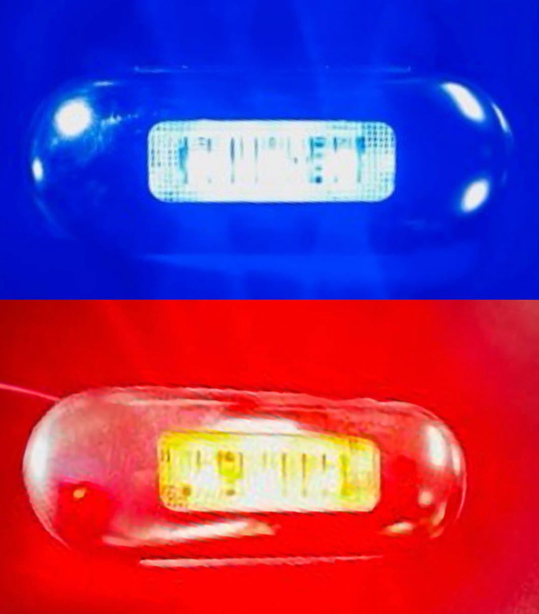 AACC - Streamline Series - Red/Blue LED / Clear Lens