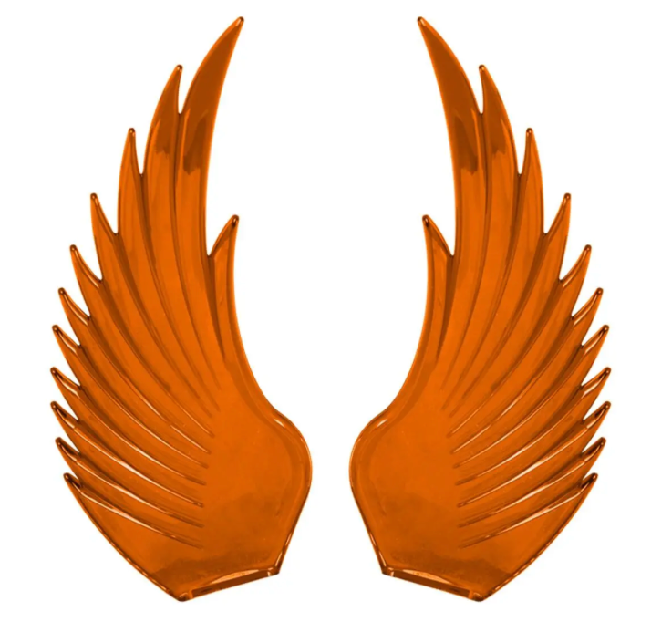 GG - 48040: AMBER WindRider New Style Wings