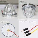AACC-SAR : Starlight Series Watermelon Range - Red Lens / Red LED