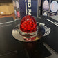 AACC - Stainless Load Light Plates to Suit Watermelon Lights with Polycarbonate Lens