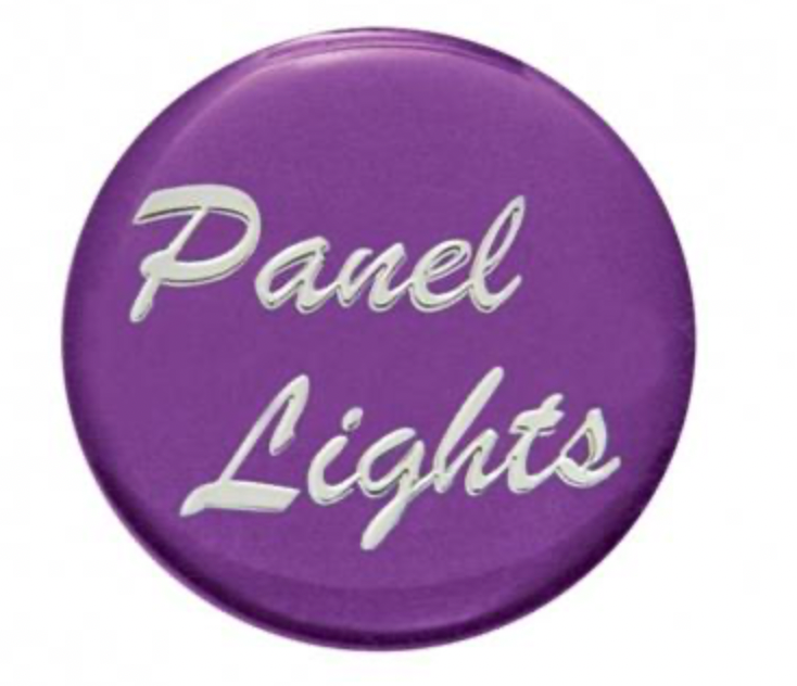 UNITED PACIFIC - 23215-1P : PURPLE GLOSSY PNL LT STKR ONLY