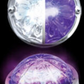 ROADWORKS - HEROWPCWMLP : LOW PROFILE WATERMELON HERO LED MARKER LIGHT - WHITE AND PURPLE LIGHT / CLEAR LENS