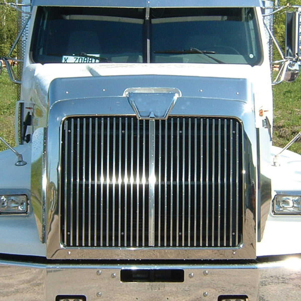 TRUX-THOD-WC : Hoodshield Bug Deflector for Western Star Constellation (4900 CO 1993-2011)